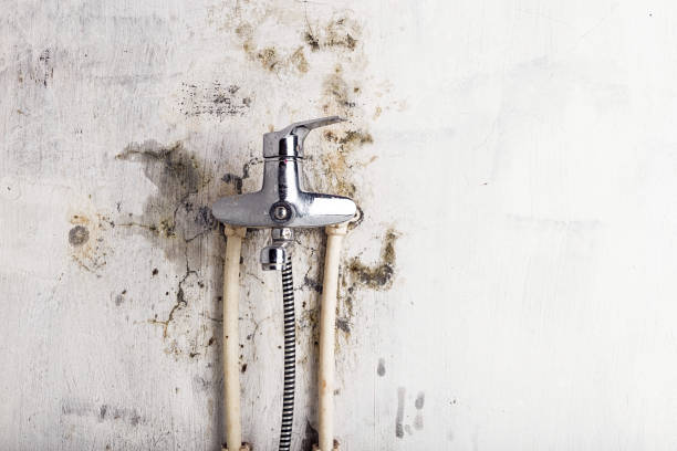Water Damage Restoration in Rolling Meadows, IL