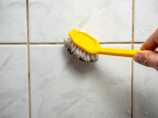 Best Fast Mold Removal  in Rolling Meadows, IL